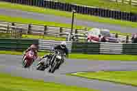 Middle Group Silver_Grey Bikes